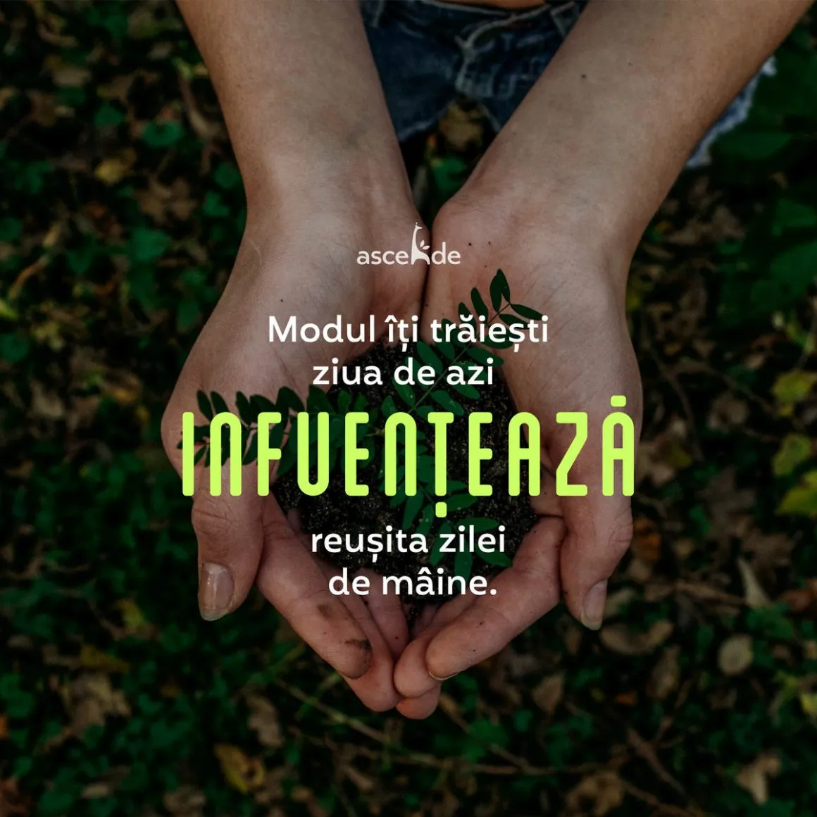 Modul îți trăiești ziua de azi influențează reușita zilei de mâine.