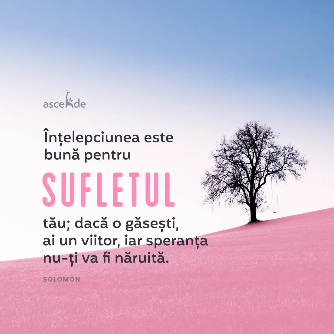 "Înțelepciunea este bună pentru sufletul tău; dacă o găsești, ai un viitor, iar speranța nu‑ți va fi năruită. (Prov. 9,12 și 24,14)