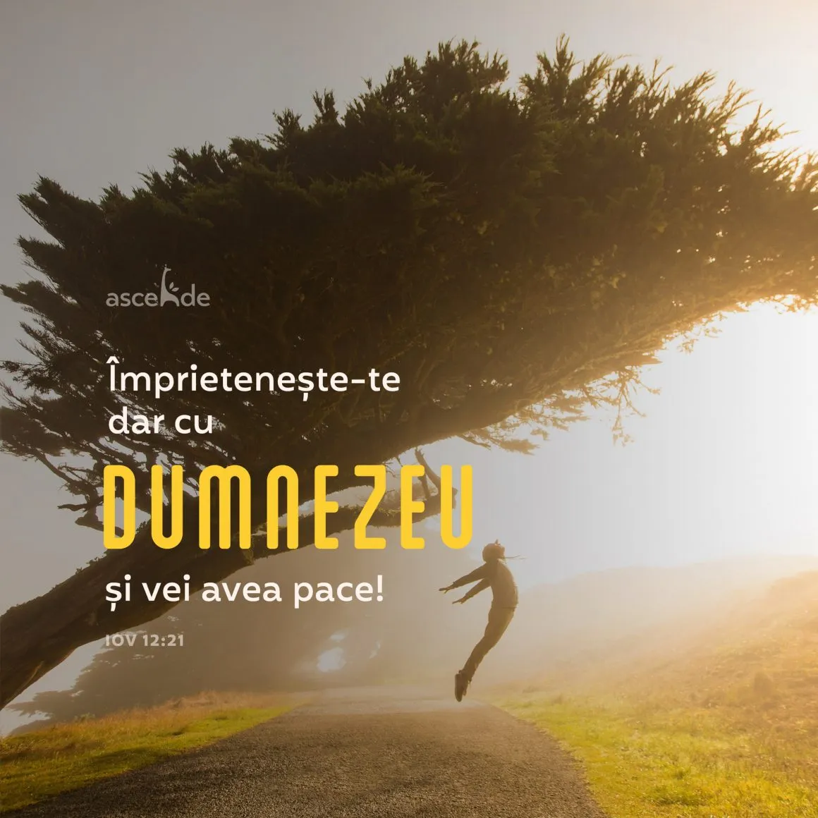 "Împrietenește-te dar cu Dumnezeu si vei avea pace!" (Iov, 22,21).