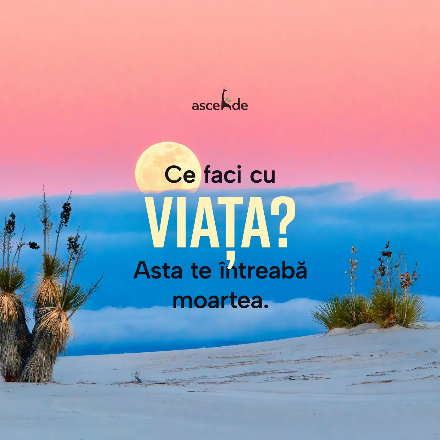 Ce faci cu viata? Asta te întreabă moartea.
