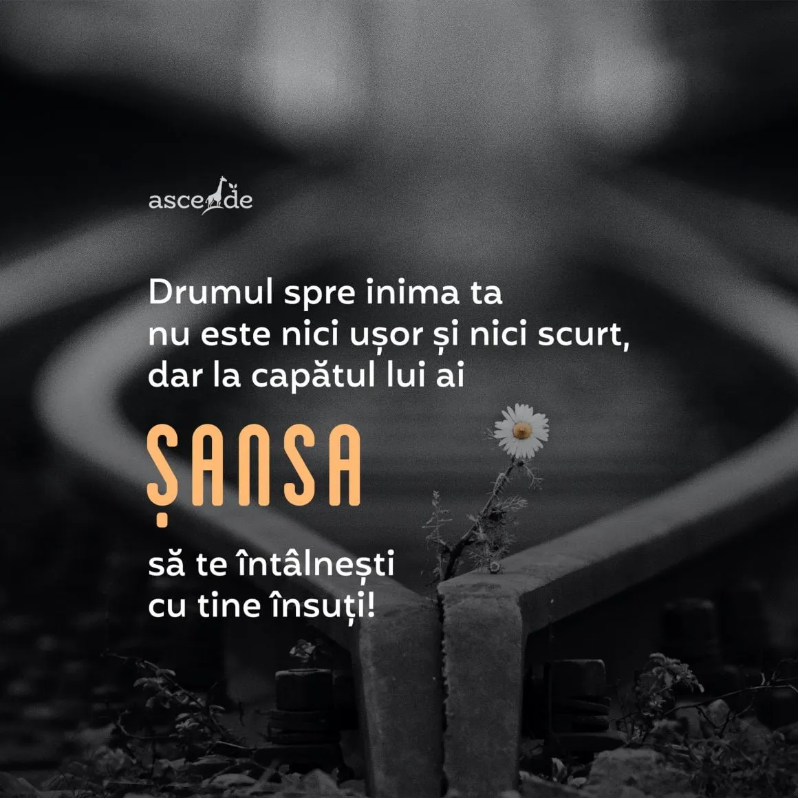 Drumul spre inima ta nu este nici ușor și nici scurt, dar La capătul lui ai șansa să te întâlnești cu tine însuți!