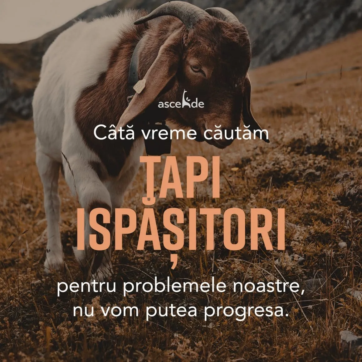 Câtă vreme căutăm țapi ispășitori pentru problemele noastre, nu vom putea progresa.