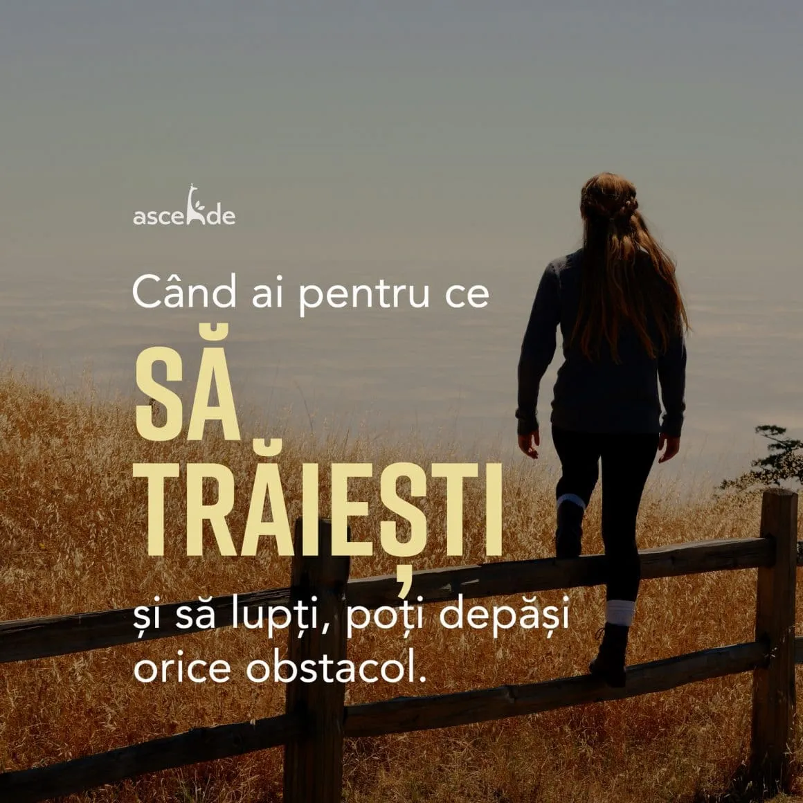 Când ai pentru ce să trăiești și să lupți poți depăși orice obstacol.