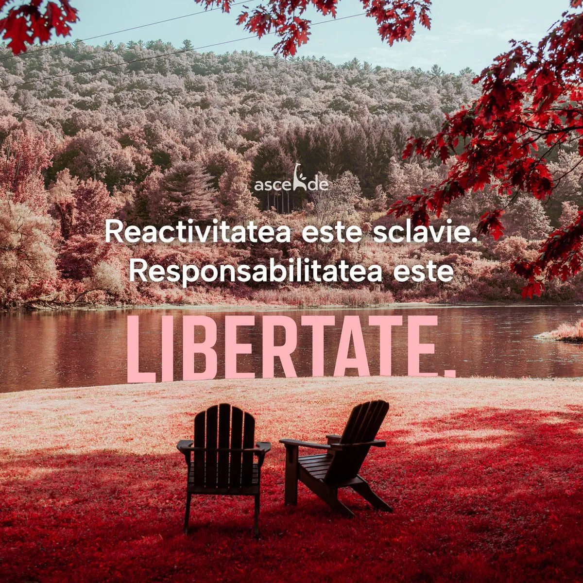 Reactivitatea este sclavie. Responsabilitatea este libertate. 