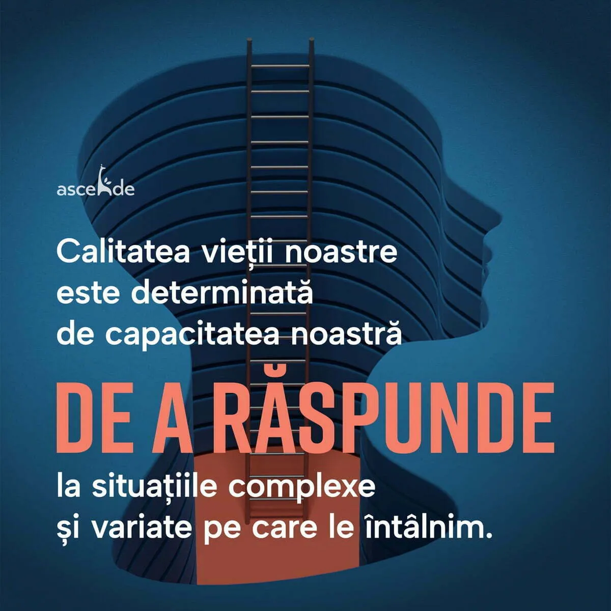 calitatea vieții noastre este determinată de capacitatea noastră de a răspunde la situațiile complexe și variate pe care le întâlnim.