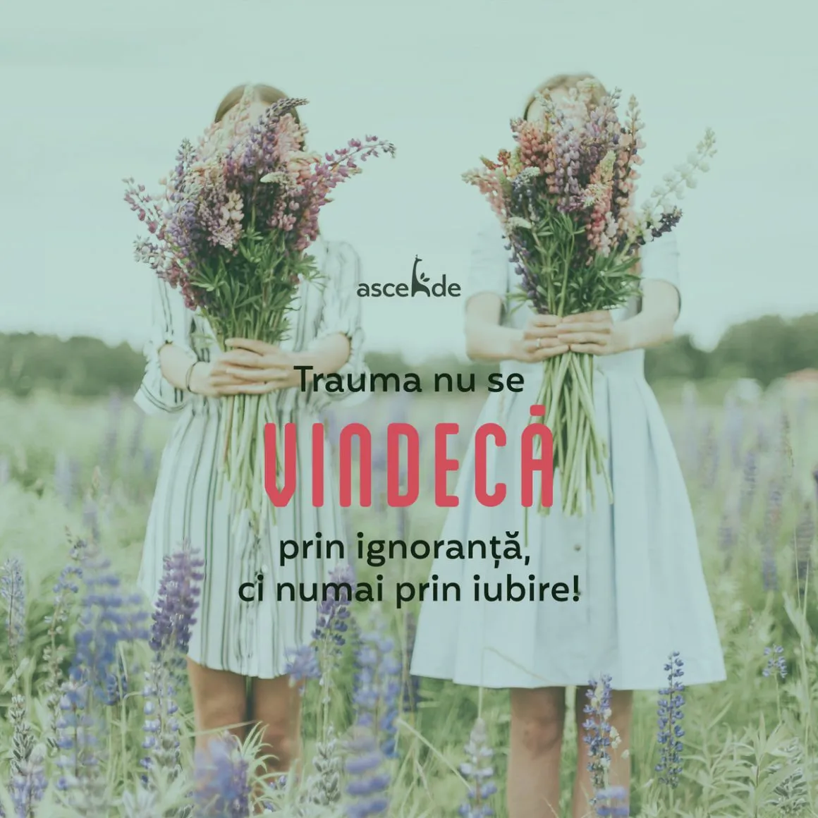 Trauma nu se vindecă prin ignoranță ci prin iubire și cu iubire.