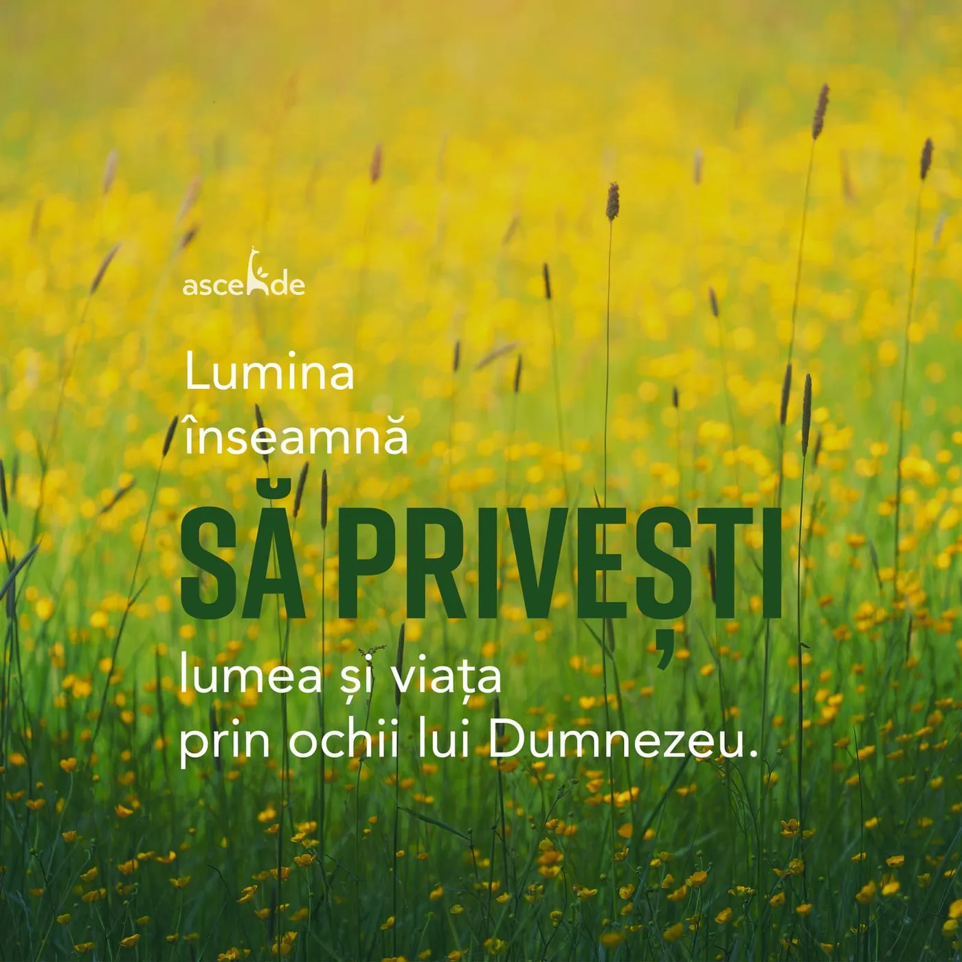 Lumina înseamnă să privești lumea și viața prin ochii lui Dumnezeu.