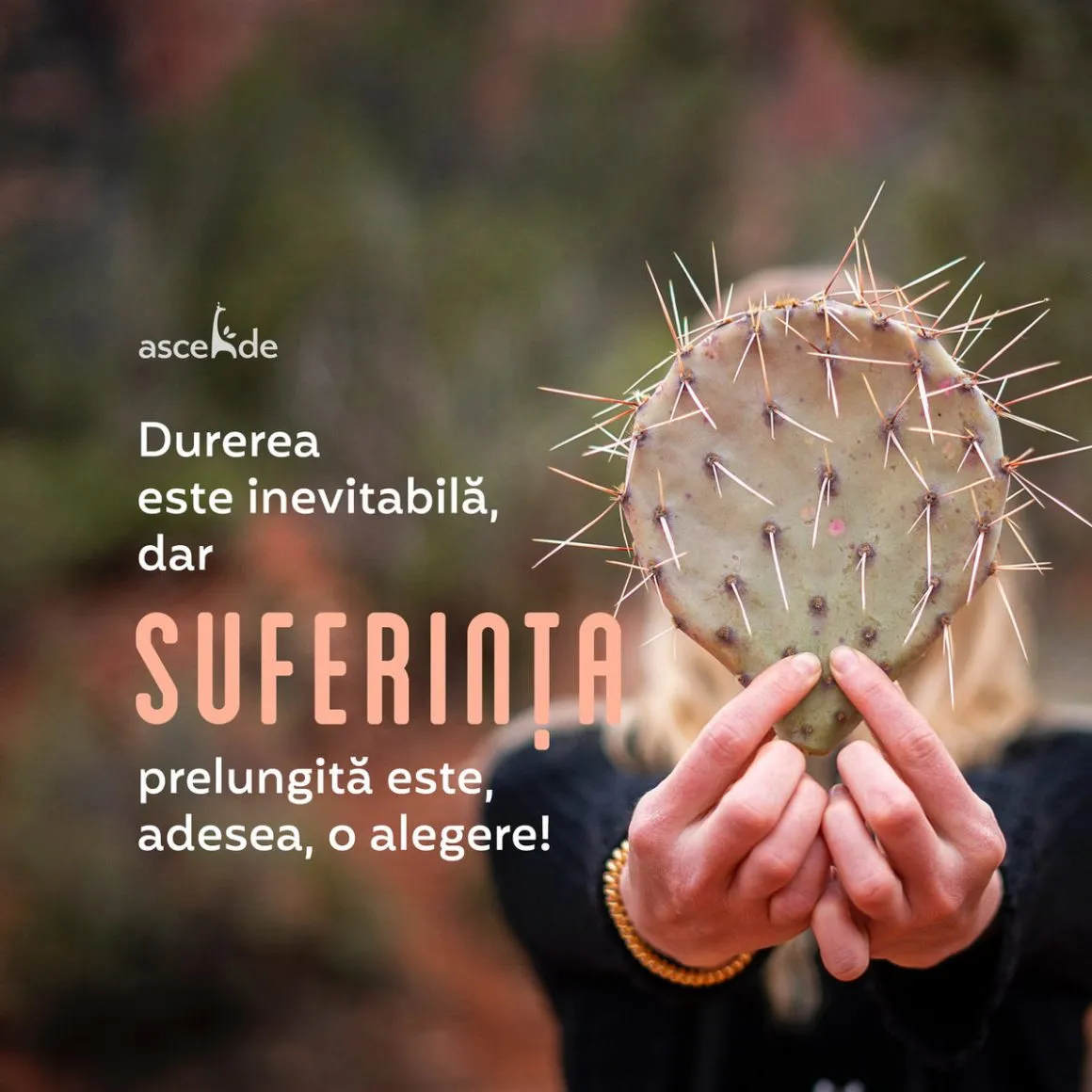 Durerea este inevitabilă, dar suferința prelungită este, adesea, o alegere!