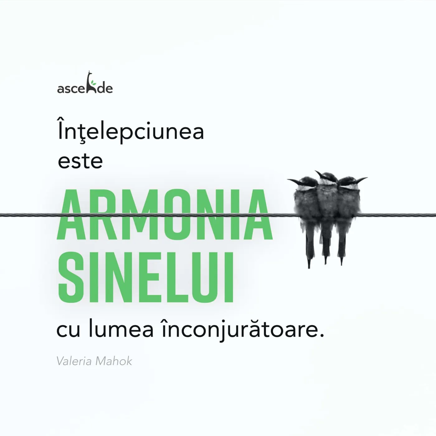 "Înţelepciunea este armonia sinelui cu lumea înconjurătoare" - Valeria Mahok