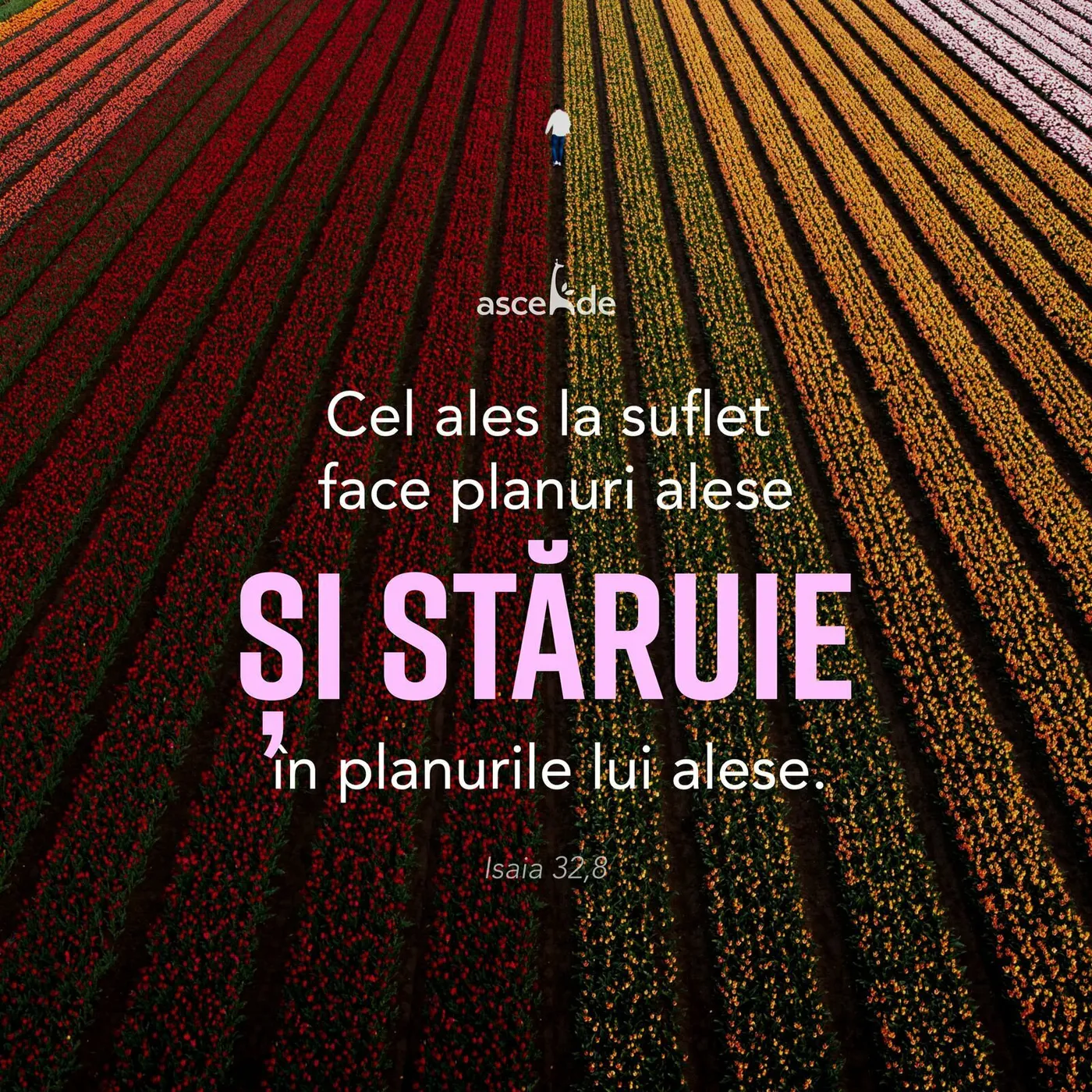 Cel ales la suflet face planuri alese și stăruie în planurile lui alese. (Isa.32:8)