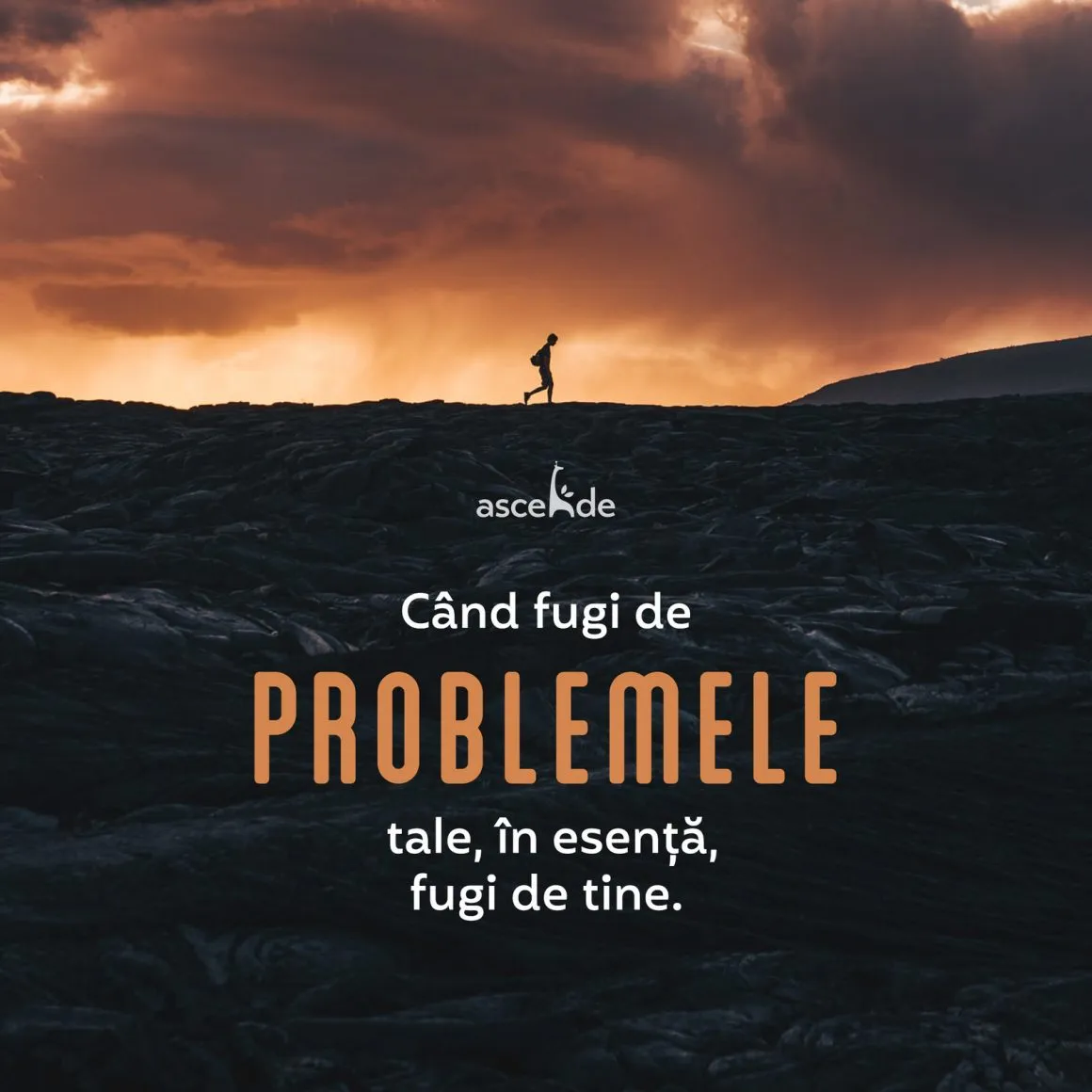Când fugi de problemele tale, în esență  fugi de tine.