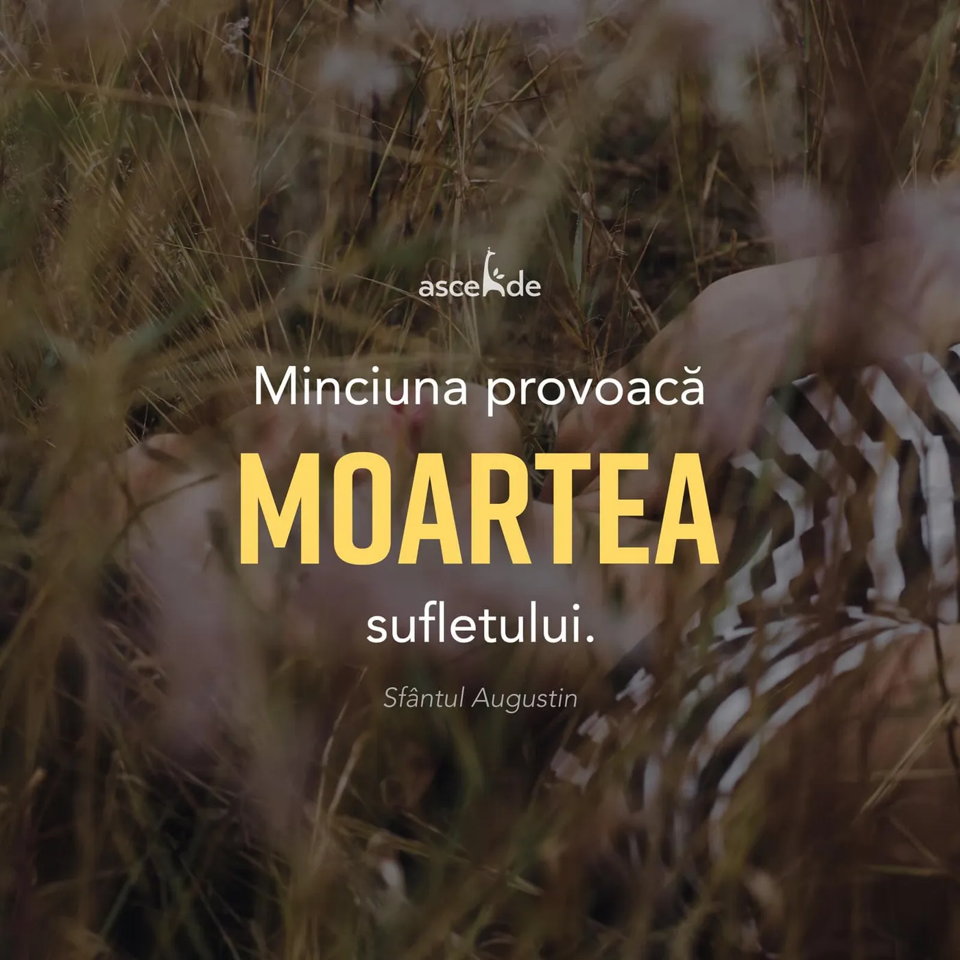 Minciuna provoacă moartea sufletului