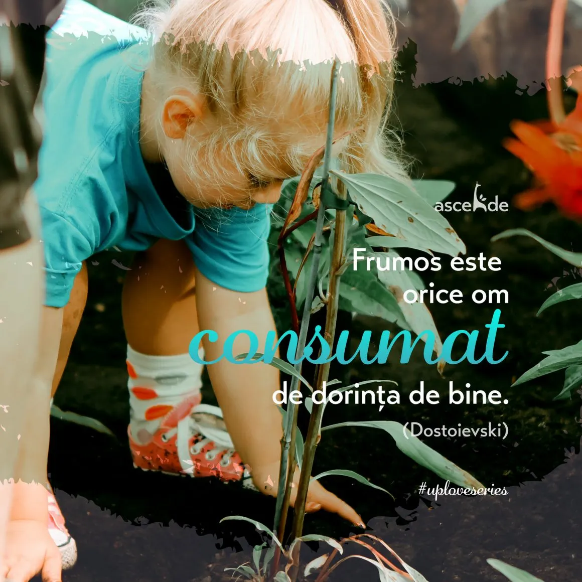 "Frumos este orice om consumat de dorința de bine, chiar și atunci când cade pradă păcatului" (Dostoievki)