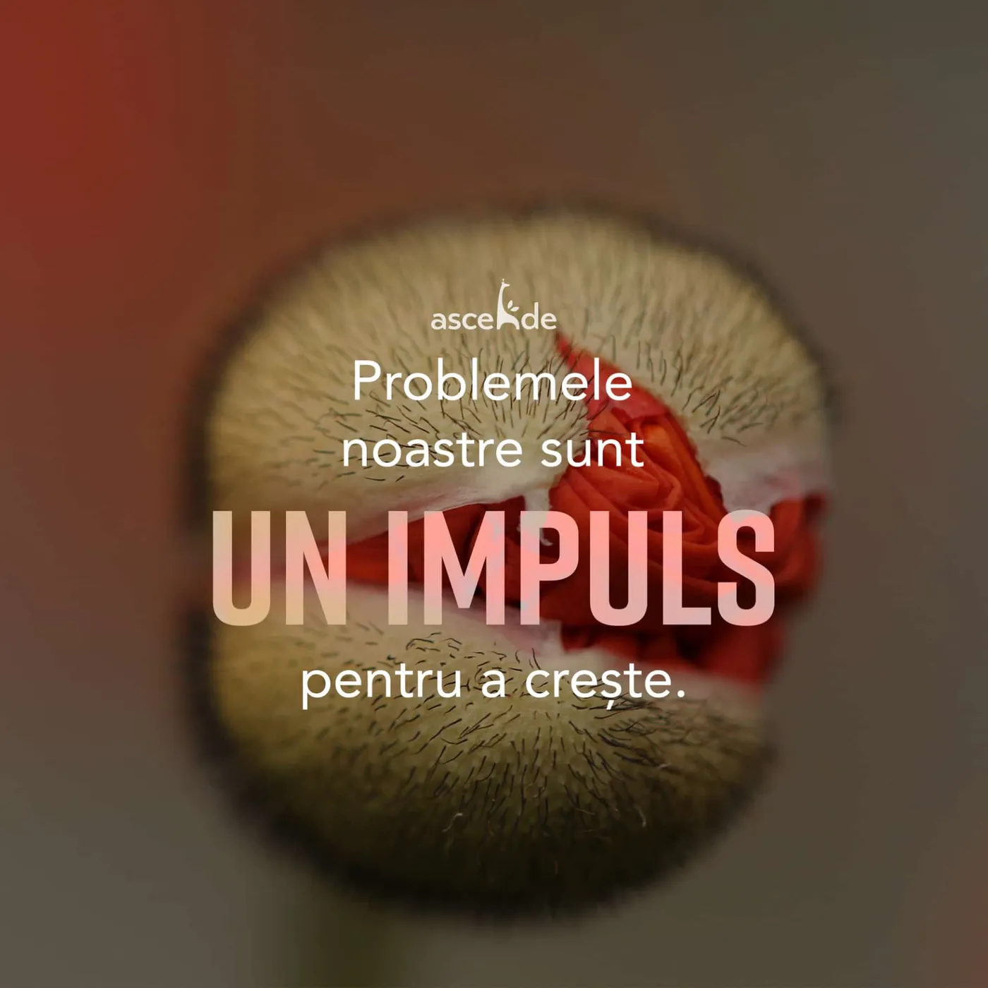 Problemele noastre sunt un impuls pentru a crește.