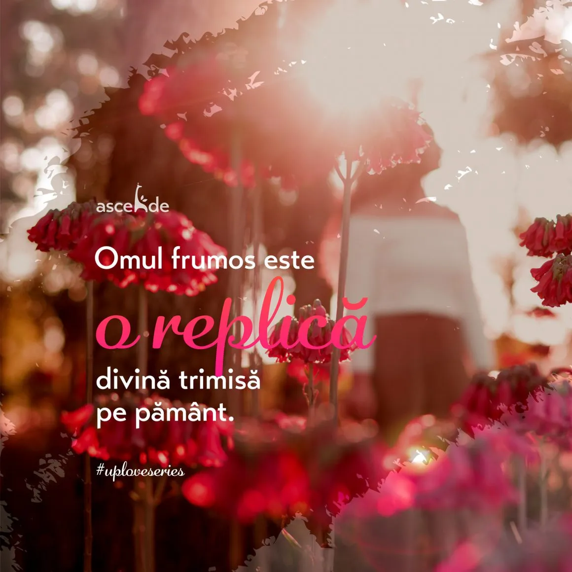 Omul frumos este o replică divină trimisă pe pământ. 