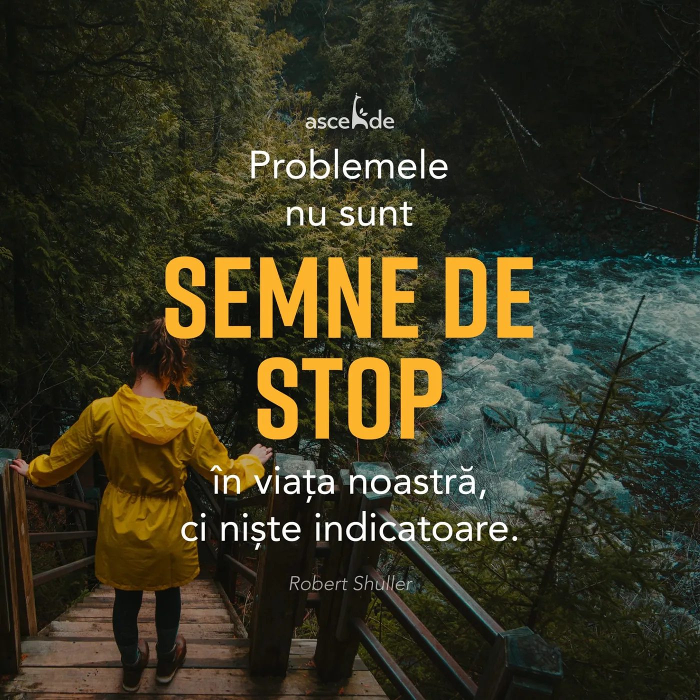 "Problemele nu sunt semne de STOP în viața noastră, ci niște indicatoare." - Robert Shuller