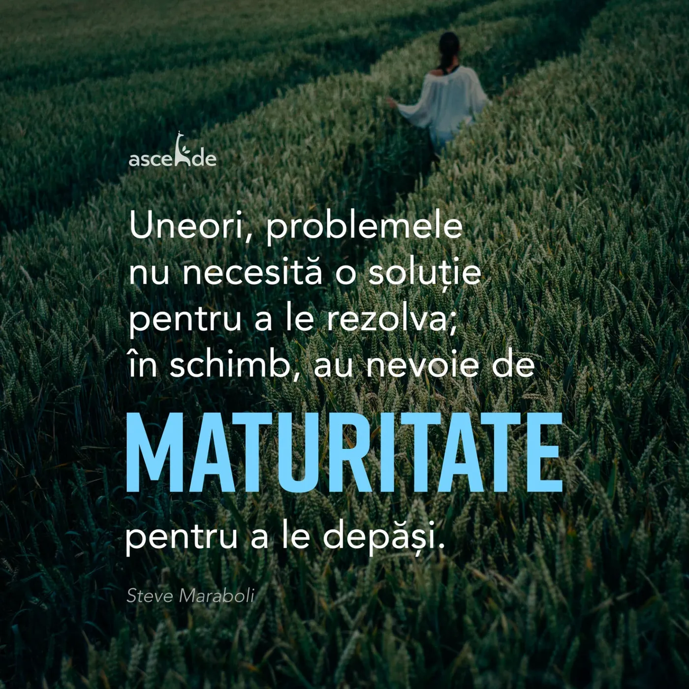 „Uneori, problemele nu necesită o soluție pentru a le rezolva; în schimb, au nevoie de maturitate pentru a le depăși ”. - Steve Maraboli.