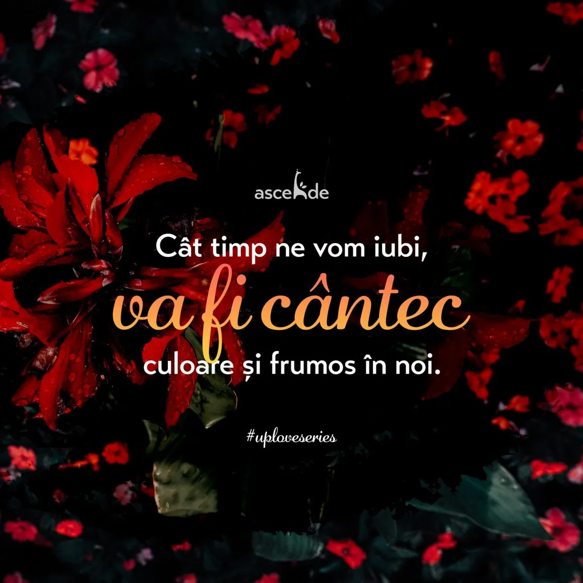 Cât ne vom iubi, va fi cântec în noi, câtă vreme ne vom vedea ca frumoși, vom face artă din fiecare moment al nostru.