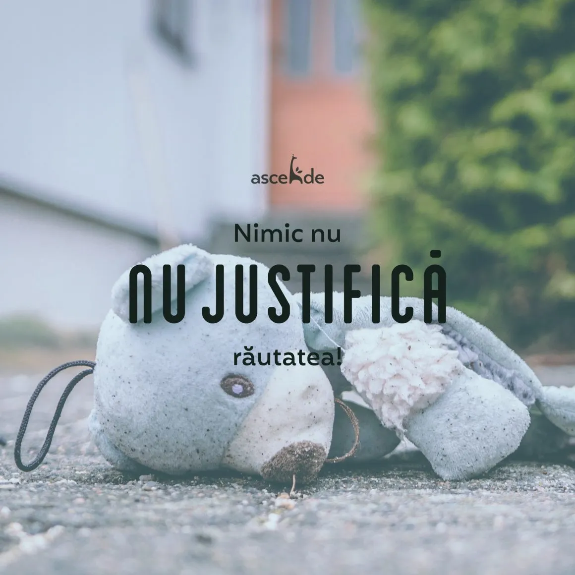 Nimic nu justifică răutatea!