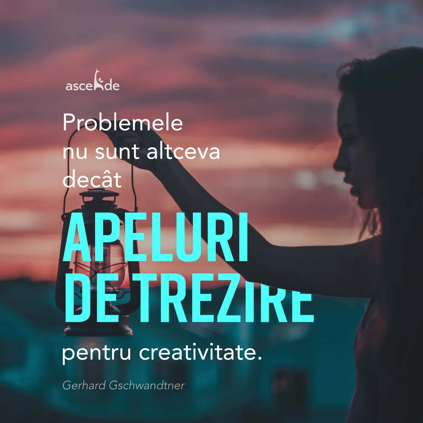  "Problemele nu sunt altceva decât apeluri de trezire pentru creativitate" - Gerhard Gschwandtner
