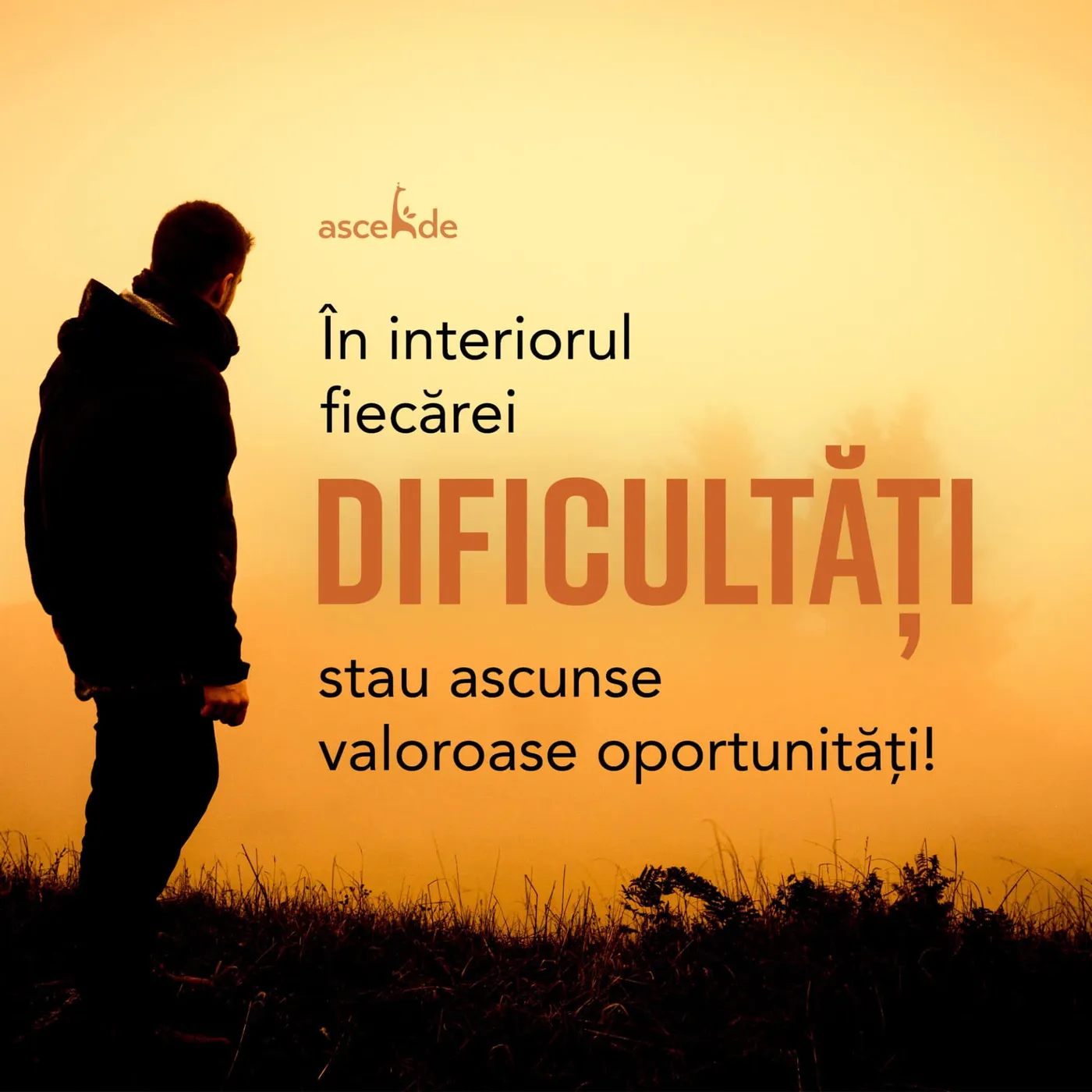 În interiorul fiecărei dificultăți stau ascunse valoroase oportunități!