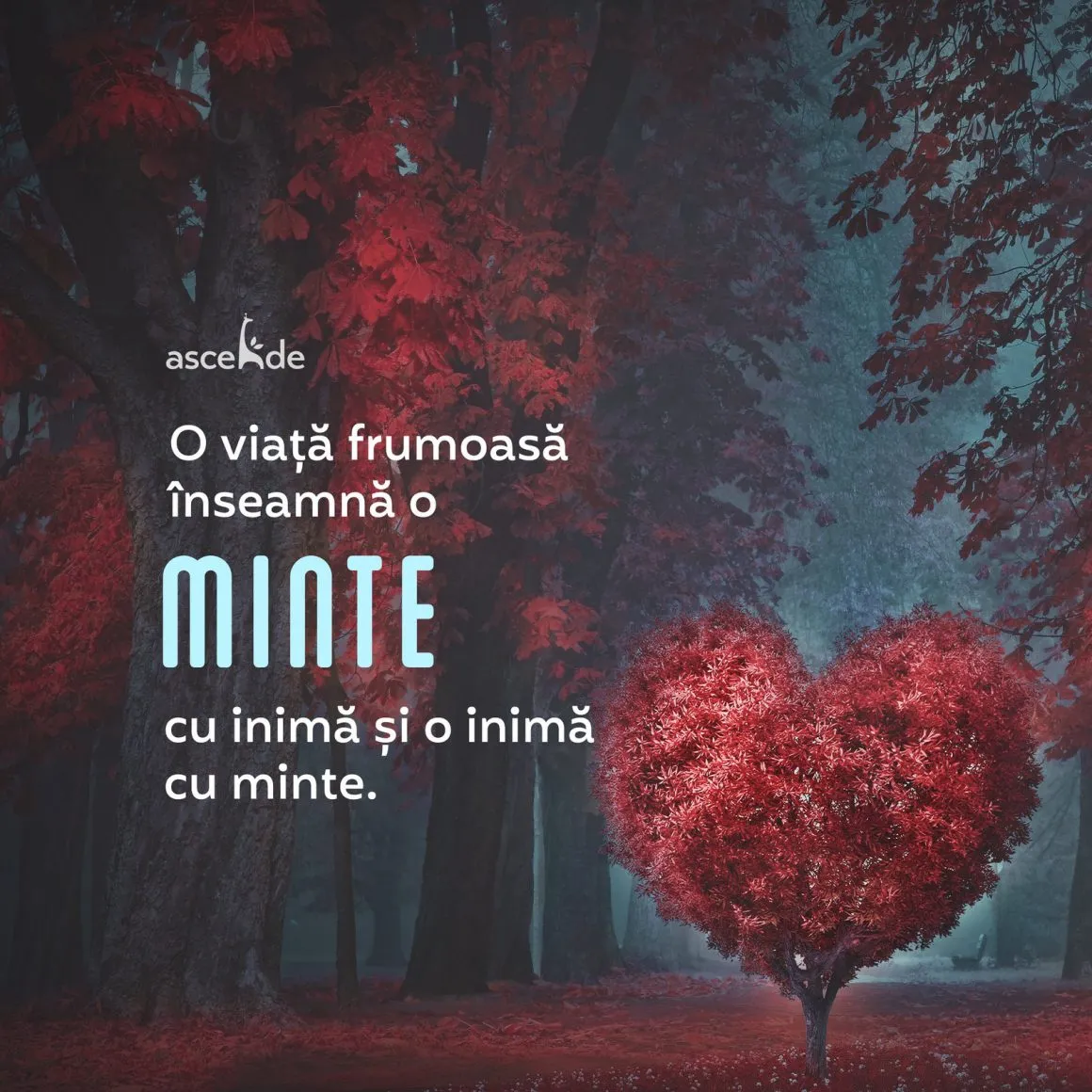 O viață frumoasă este rezultatul mariajului fericit între o minte cu inimă și o inimă cu minte.