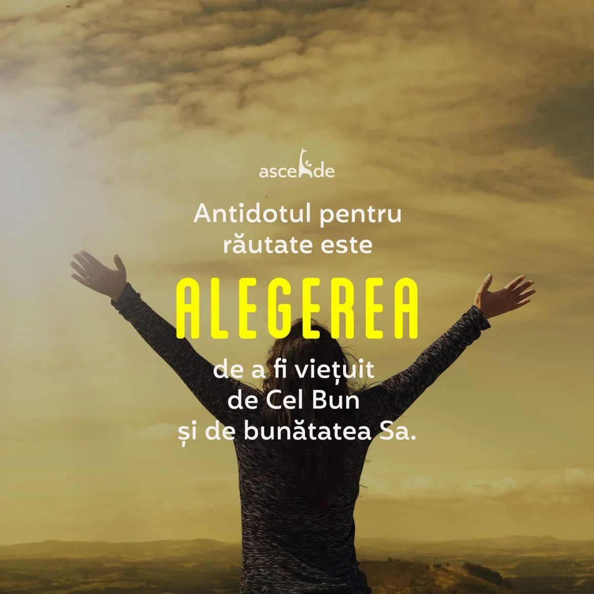 Antidotul pentru răutate este alegerea de a fi viețuit de Cel Bun și de bunătatea Sa.