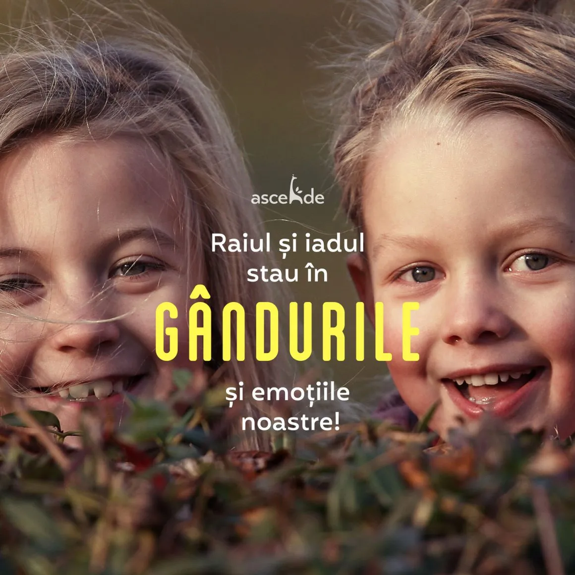 Raiul si iadul stau în gândurile și emoțiile noastre!