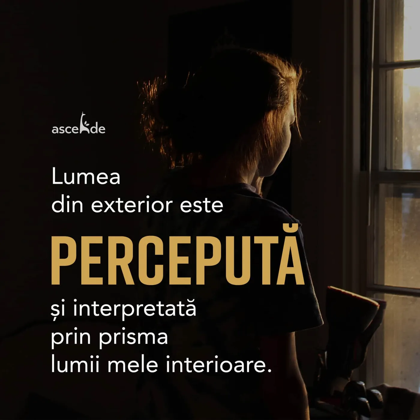 Lumea din exterior este percepută și interpretată prin prisma lumii mele interioare
