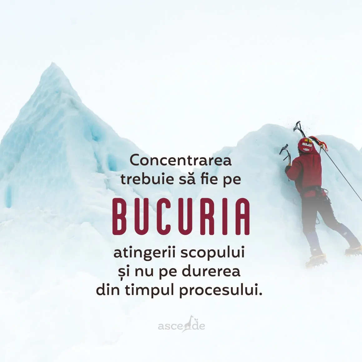 Concentrarea