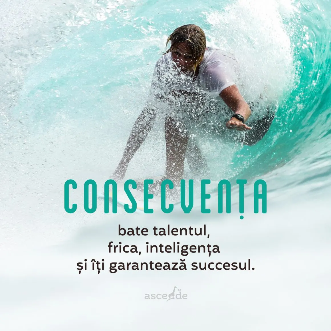 Consecvența