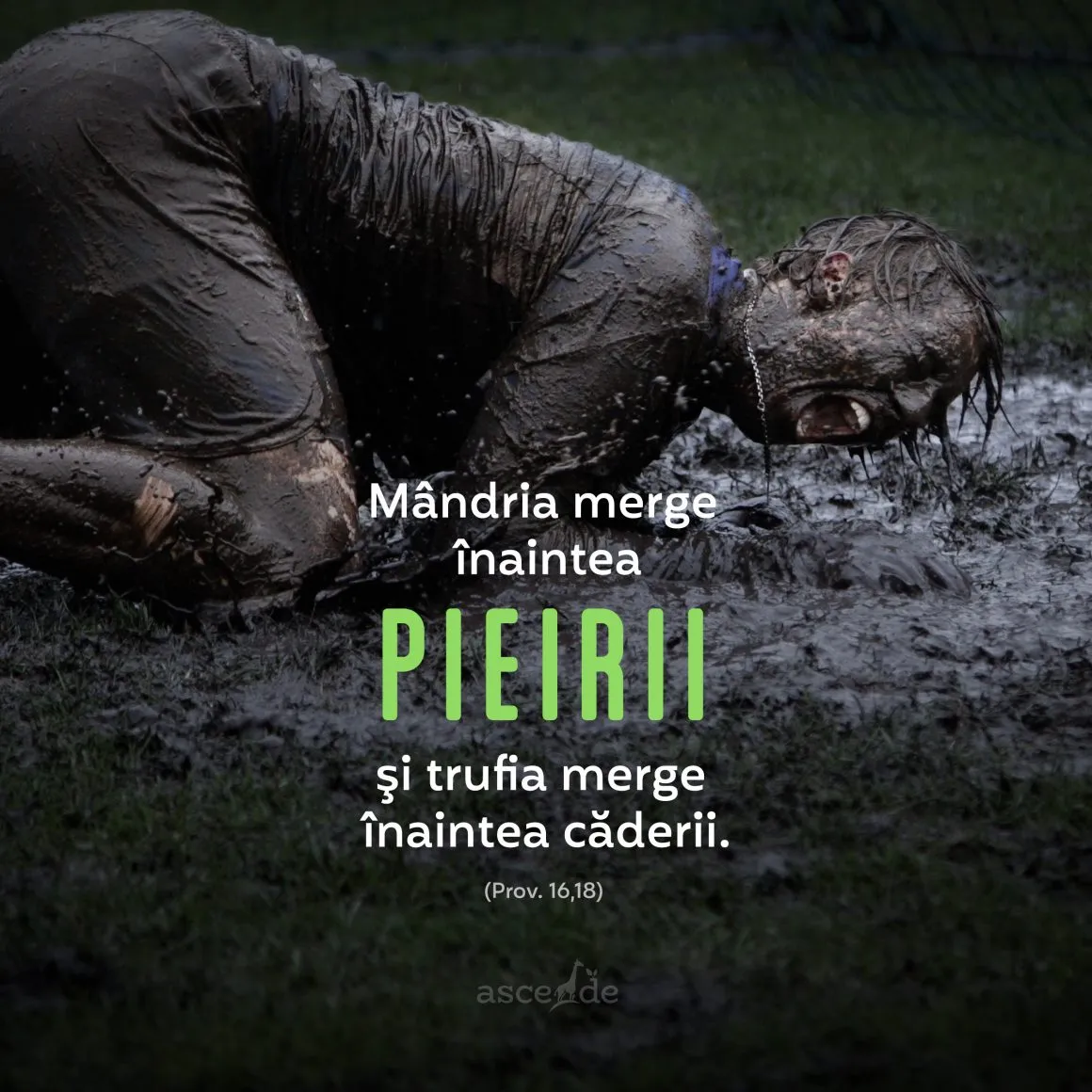 Mândria