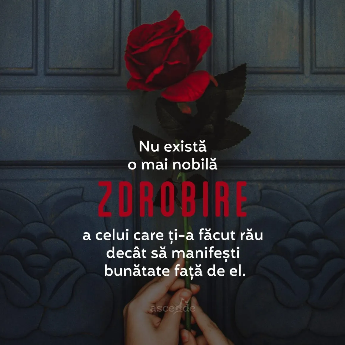 Nu există o mai nobilă zdrobire a celui care ți-a făcut rău decât să manifești bunătate față de el