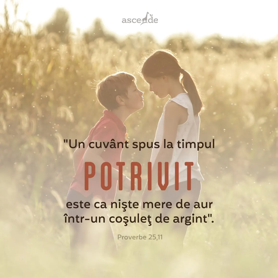 "Un cuvânt spus la timpul potrivit este ca nişte mere de aur într-un coşuleţ de argint" (Prov. 25,11).
