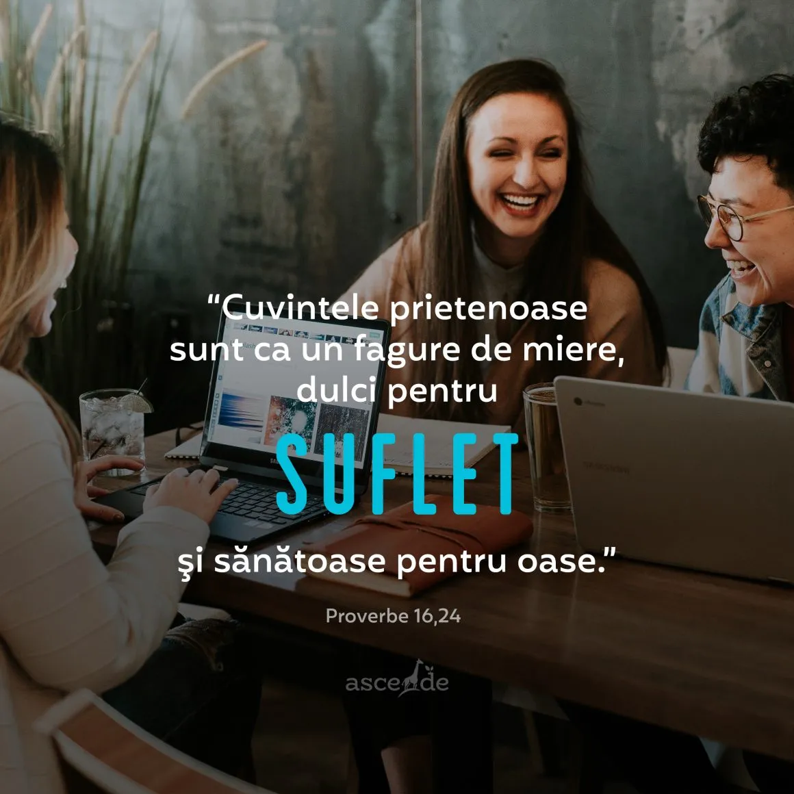 "Cuvintele prietenoase sunt ca un fagure de miere, dulci pentru suflet şi sănătoase pentru oase." (Proverbe 16,24).