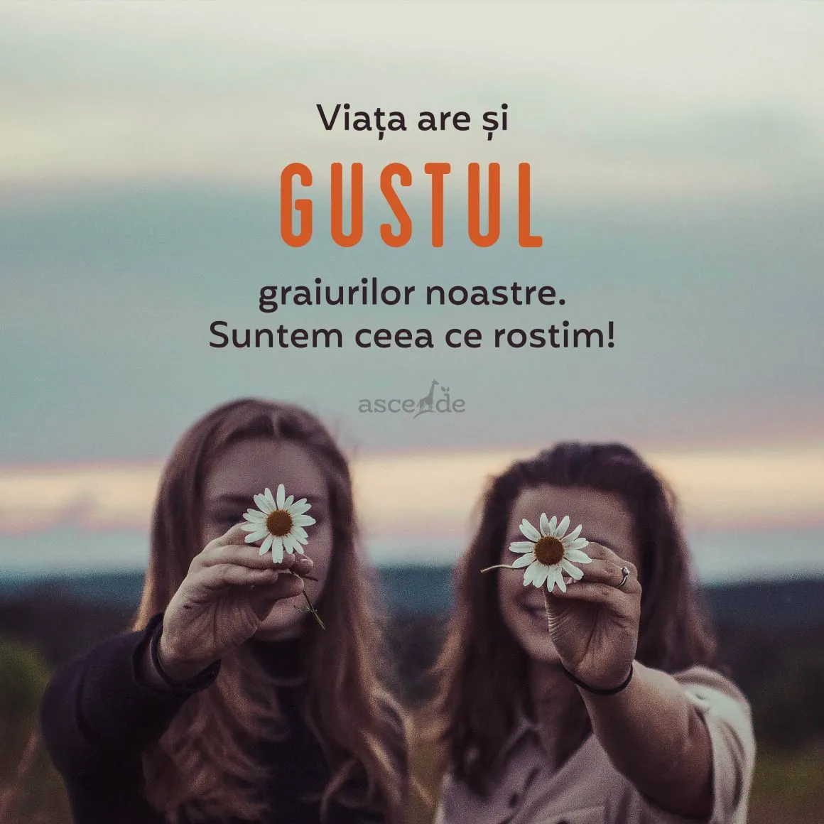 Viața are și gustul graiurilor noastre.