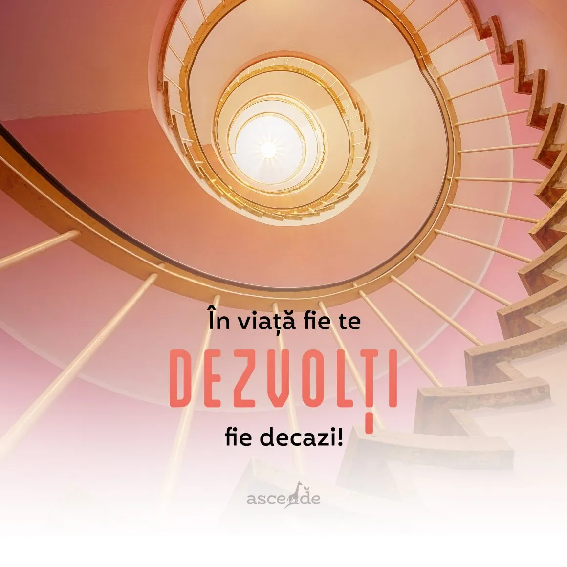 În viață fie te dezvolți, fie decazi!