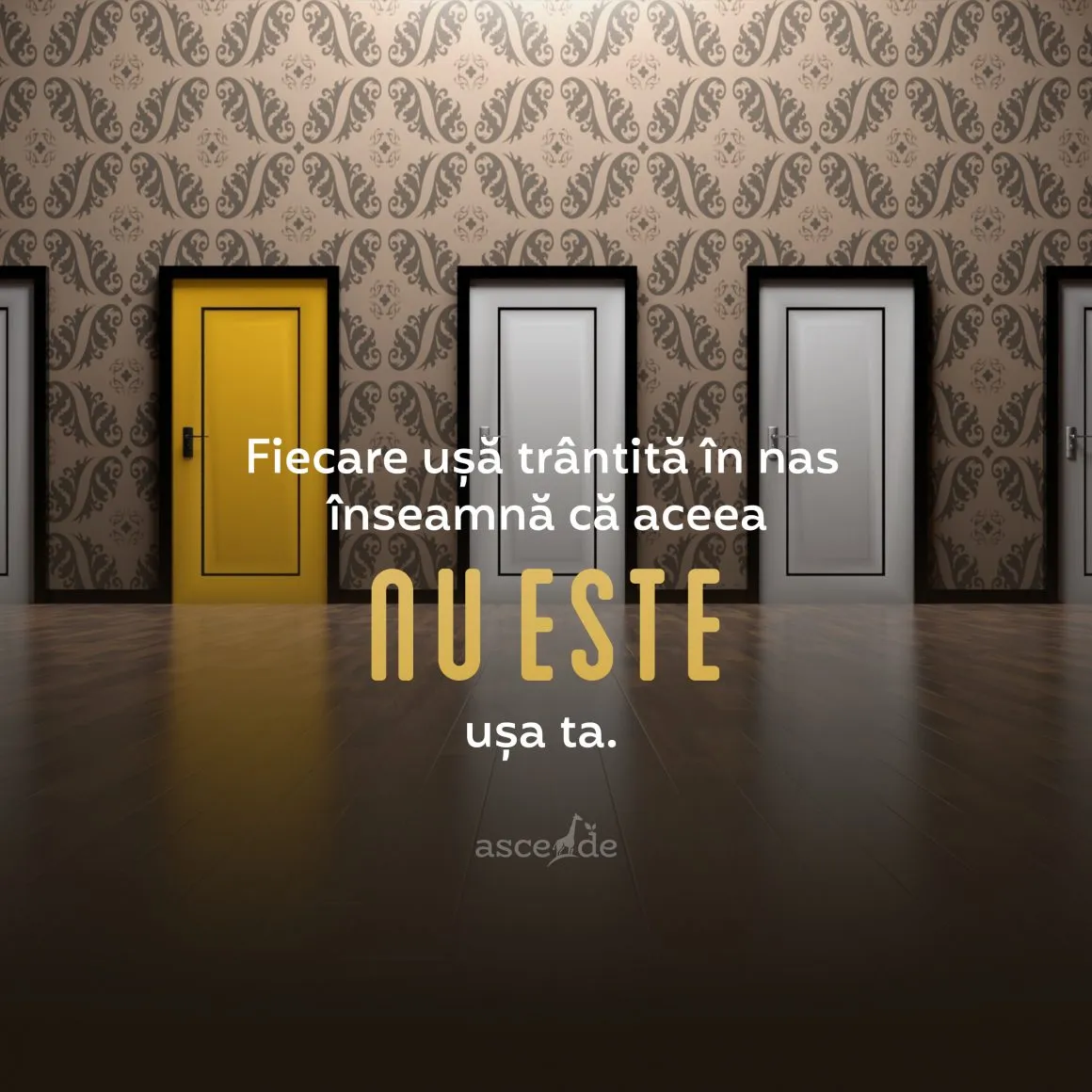 Fiecare ușă trântită în nas poartă cu ea mesajul evident că aceea nu era ușa ta.