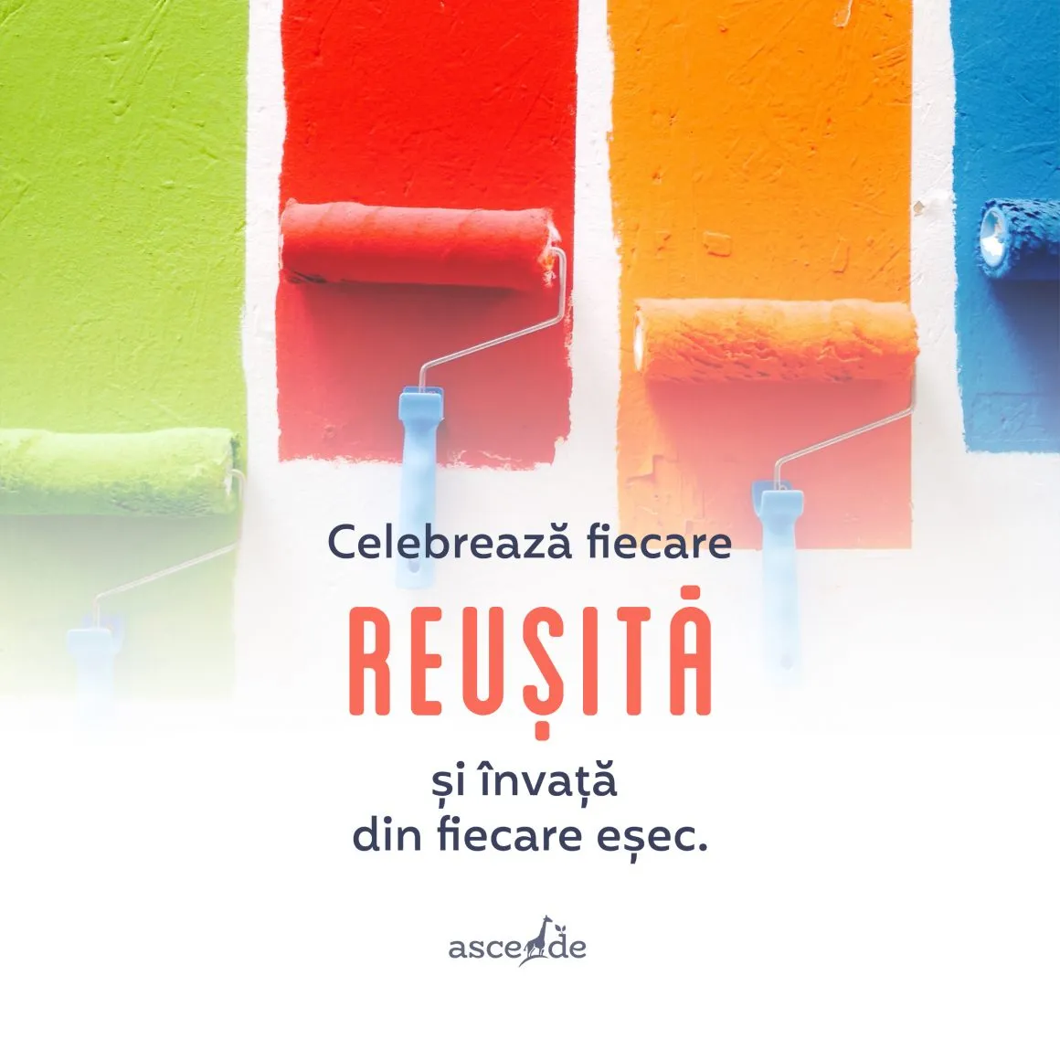 Celebrează fiecare reușită și învață din fiecare eșec.