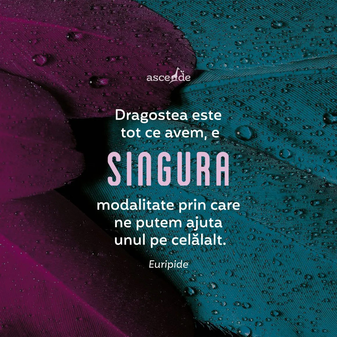Dragostea este tot ce avem, e singura modalitate prin care ne putem ajuta unul pe celălalt
