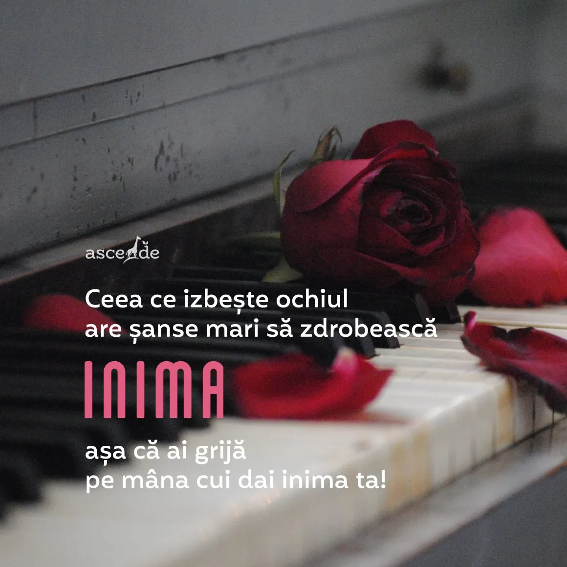 Ceea ce izbește ochiul are șanse mari să zdrobească inima așa că ai grijă pe mâna cui dai inima ta!