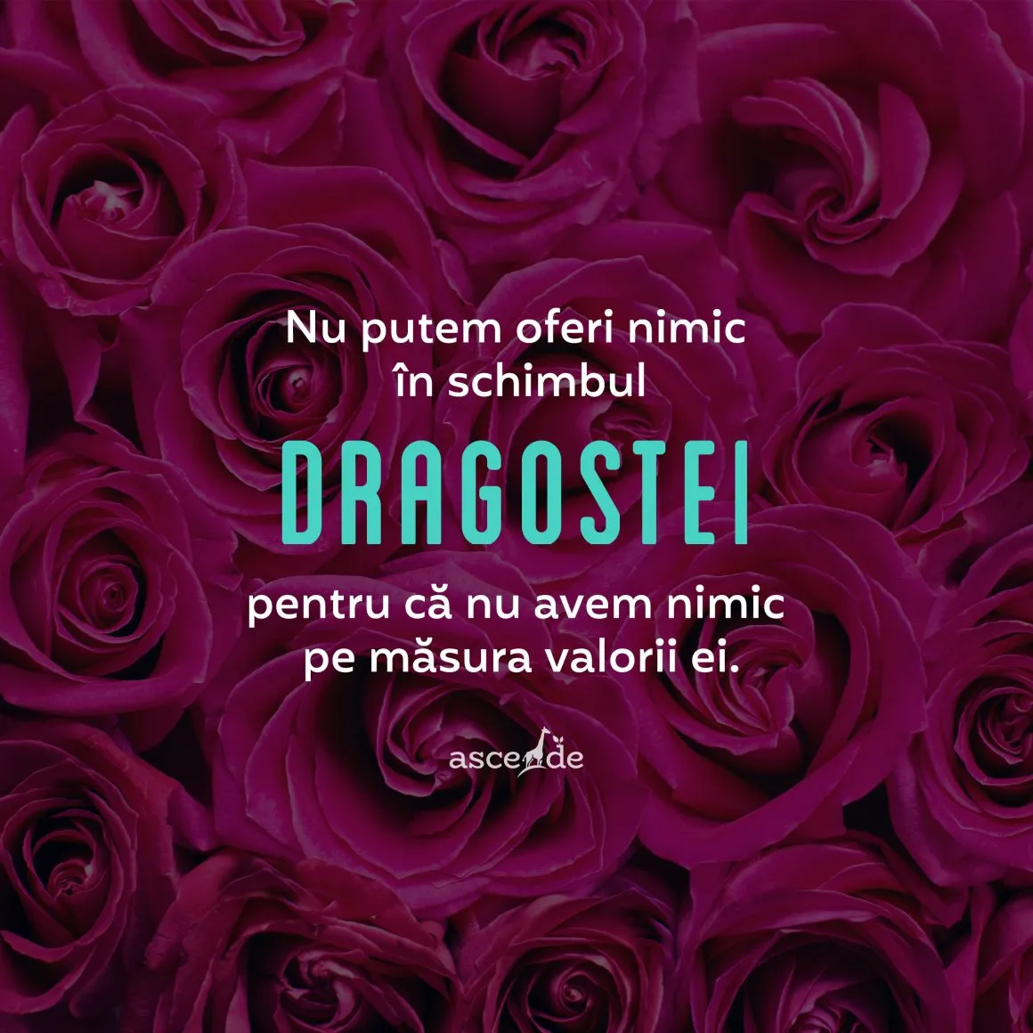Nu putem oferi nimic în schimbul dragostei pentru că nu avem nimic pe măsura valorii ei.
