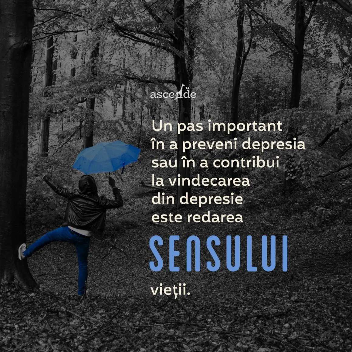 Deci, un pas important în a preveni depresia sau în a contribui la vindecarea din depresie este redarea SENSULUI vieții.
