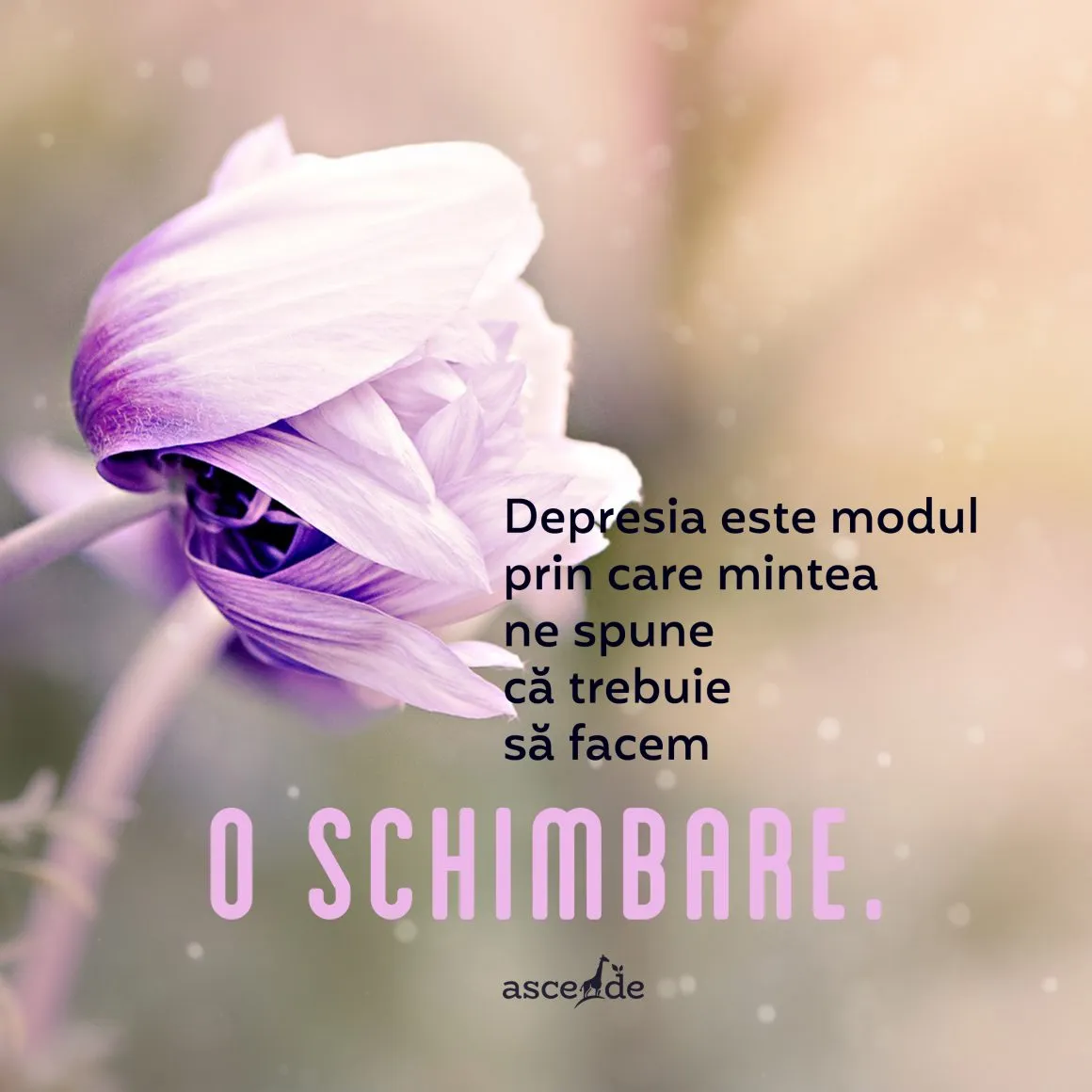 Depresia este modul prin care mintea ne spune că trebuie să facem o schimbare.
