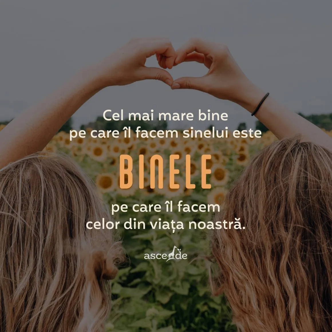 Cel mai mare bine pe care îl facem sinelui este binele pe care îl facem celor din viața noastră.
