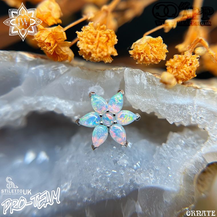 BVLA - Pear Flower with Genuine White Opal AAA 14k White Gold