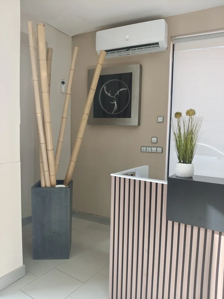 Recepción de My Dental