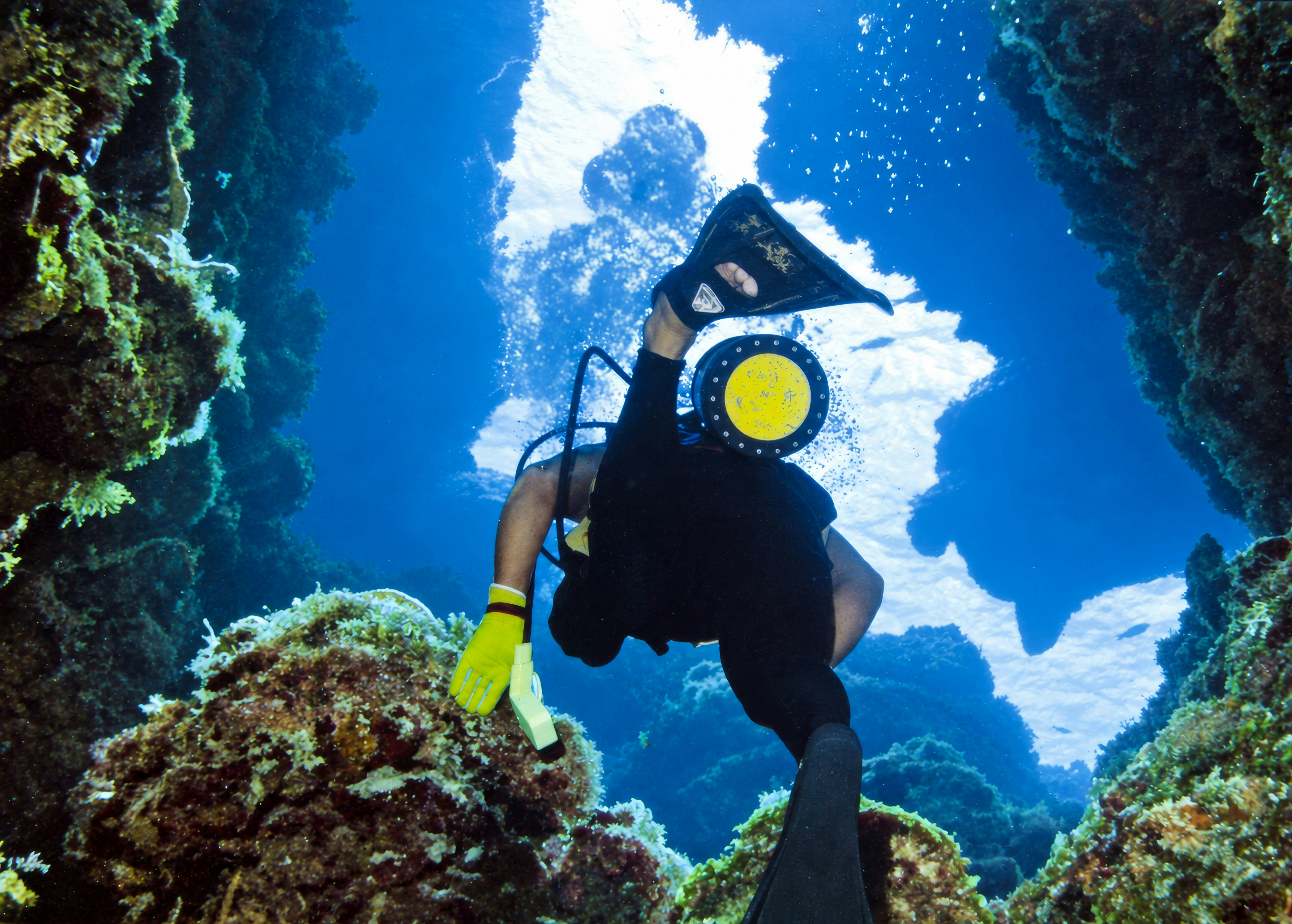 Palancar Reef