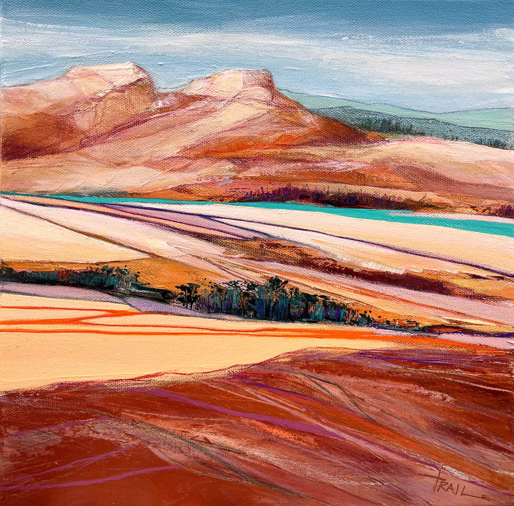 westward series by pamela trail and create gallery and frames in garden city idaho 