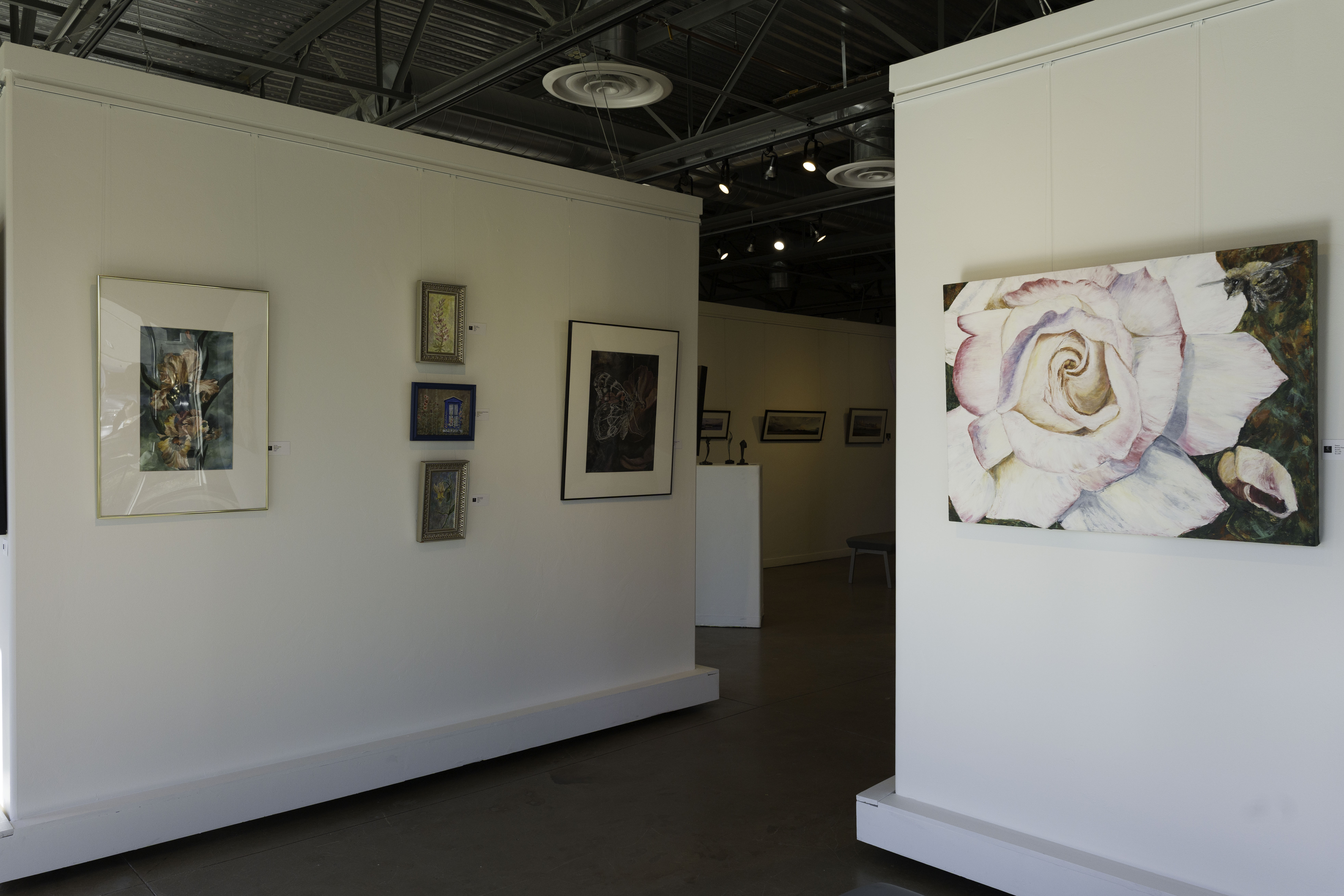 “curated fine art gallery wall with custom framed artwork in a modern interior”